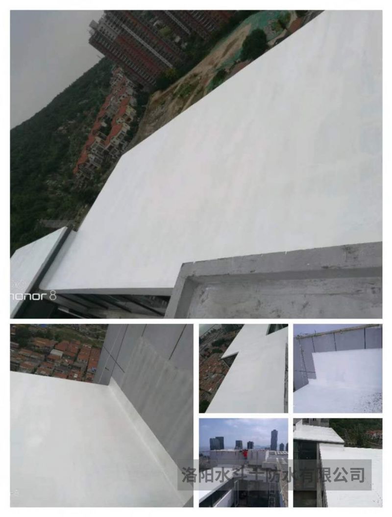 阳光房 (5)