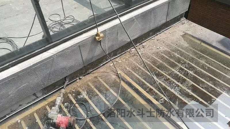 阳光房 (8)