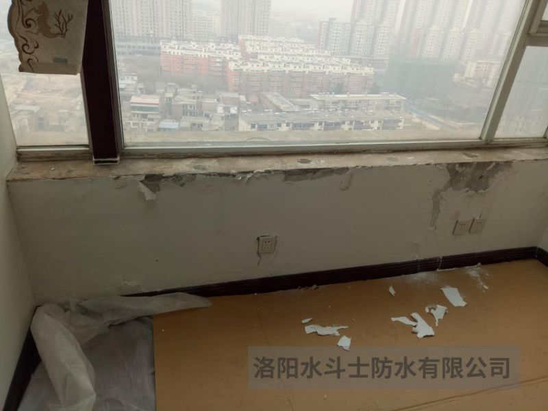 阳光房 (3)